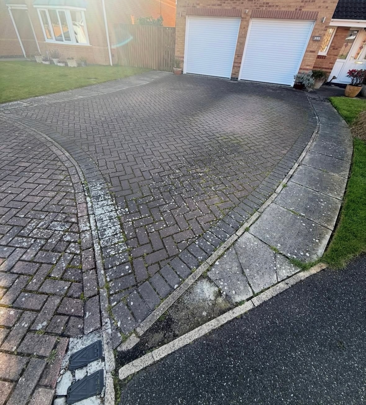 Algae-covered patio before cleaning